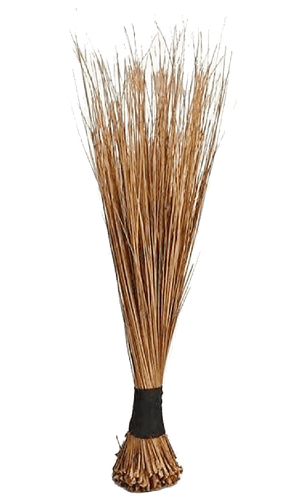 African Broom Large