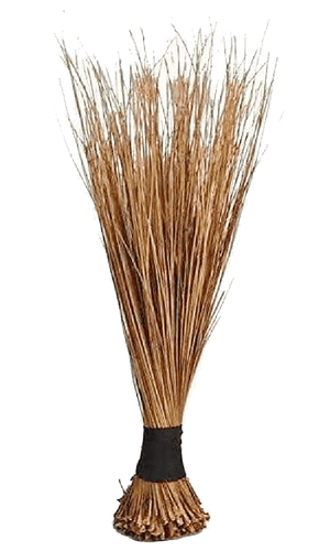 African Broom Small