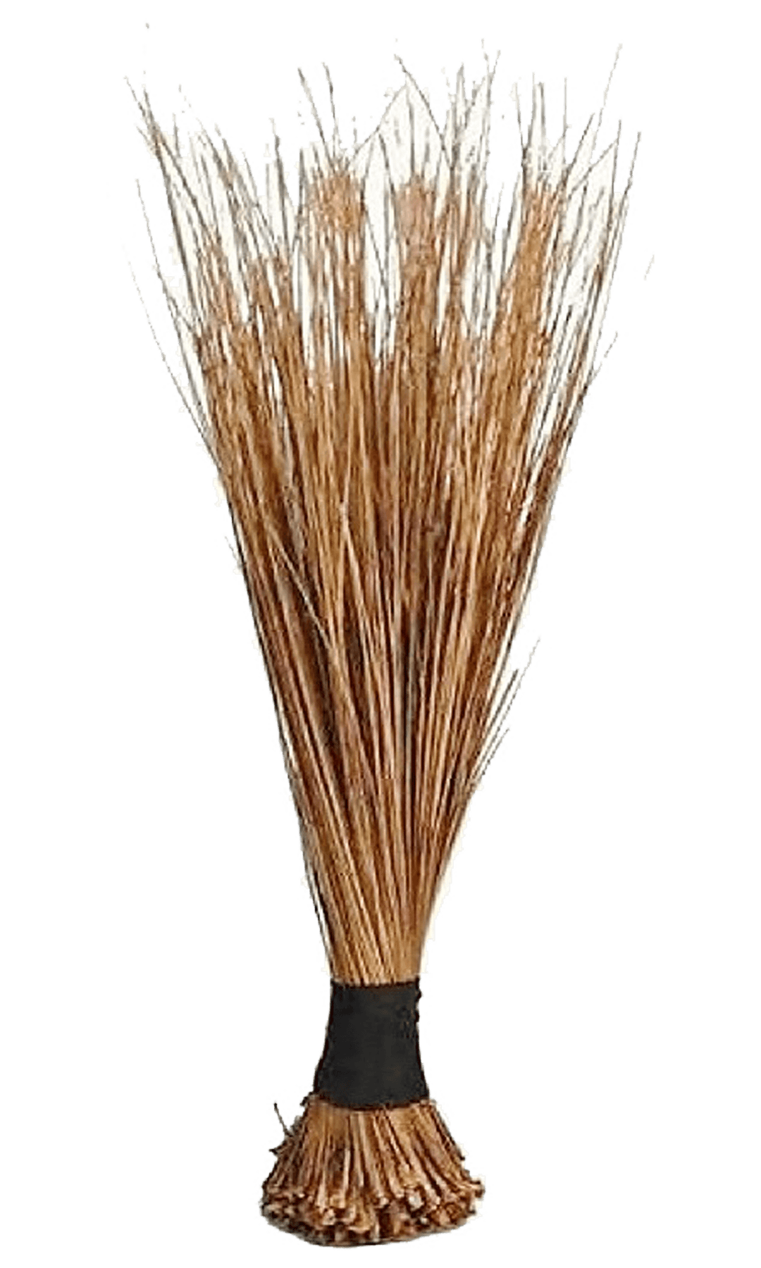 African Broom Small