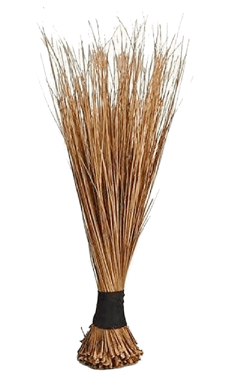 African Broom Small