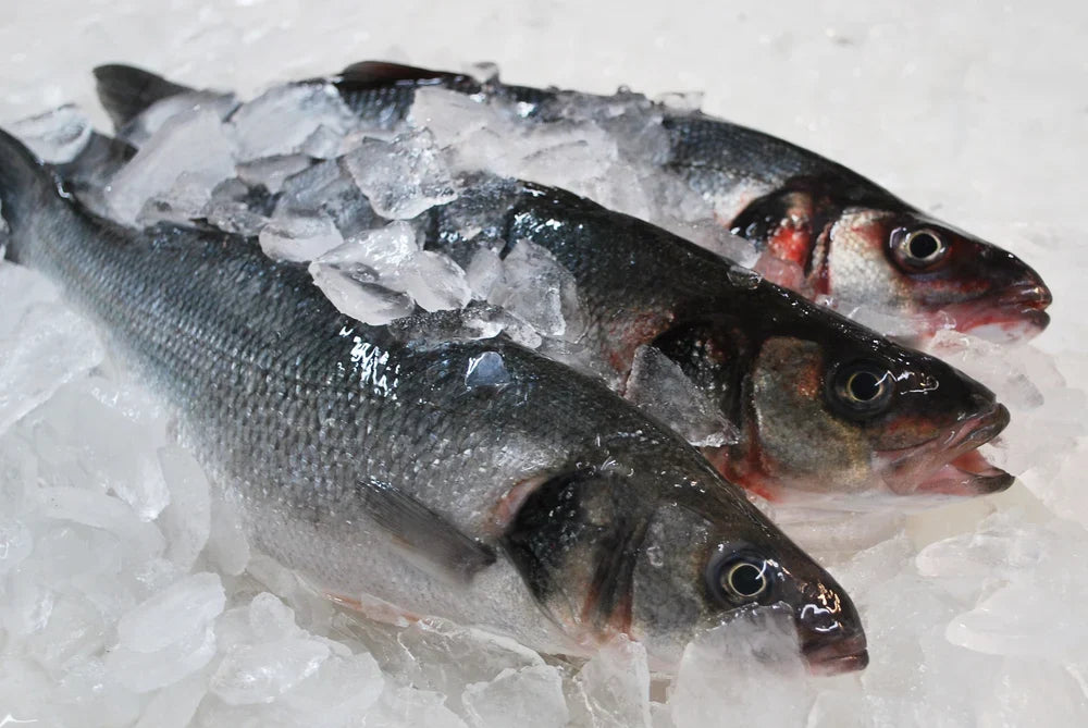 Frozen Whole Branzino (European Sea Bass)