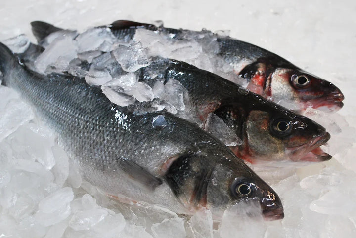 Frozen Whole Branzino (European Sea Bass)