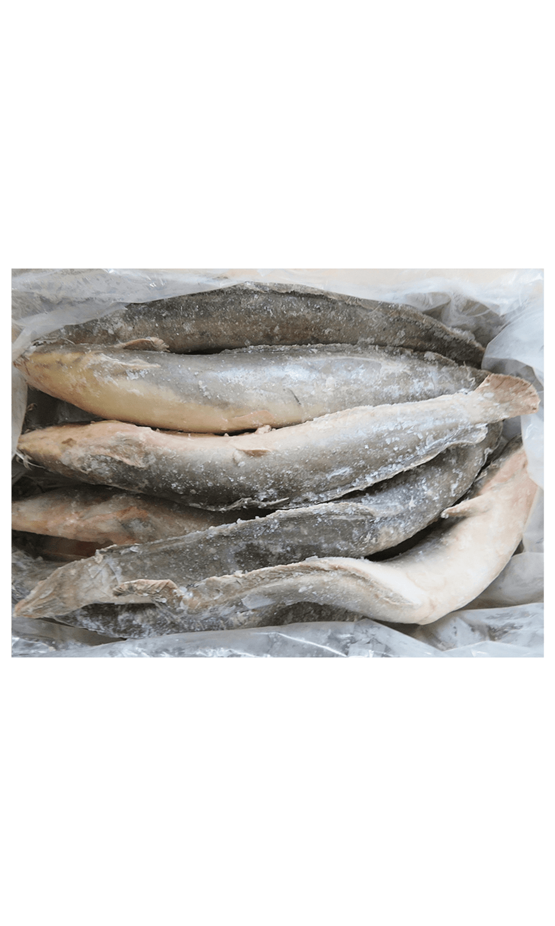 Frozen Catfish WG 500/800