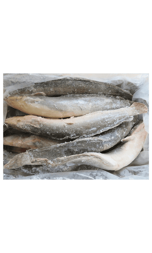 Frozen Catfish WG 500/800