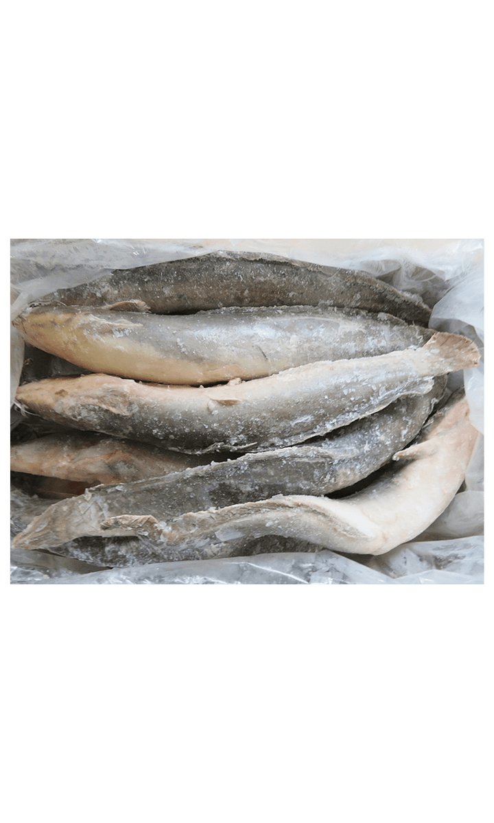 Frozen Catfish WG 500/800