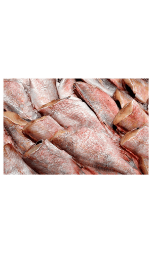 Frozen Red Bream 300/500