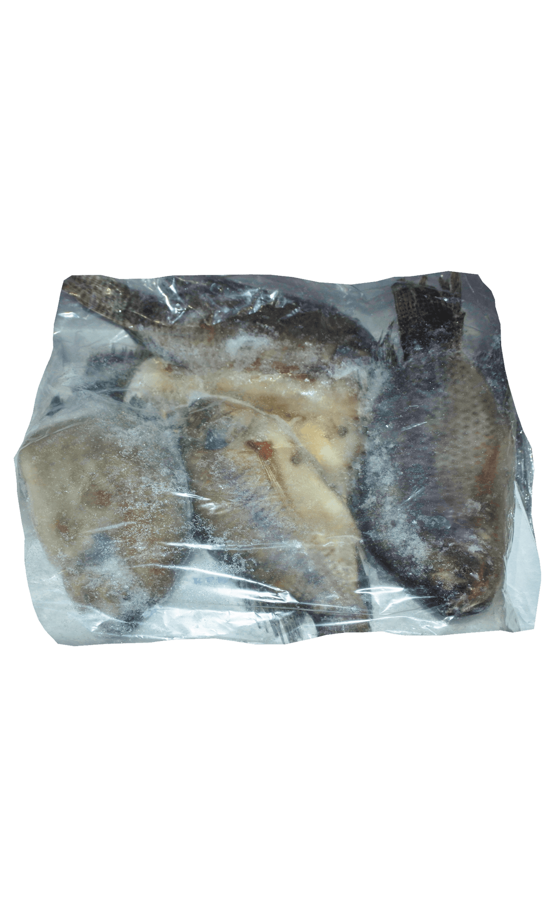 Frozen Tilapia 500/800 Noury