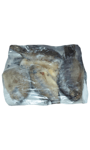 Frozen Tilapia 500/800 Raja Brand
