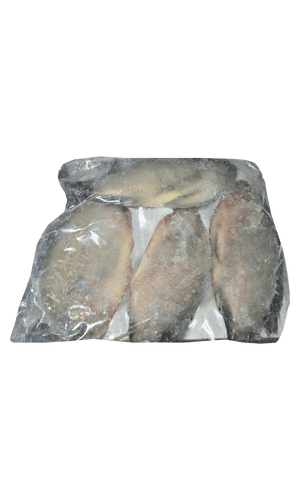 Frozen Tilapia G&S 300/500 Noury