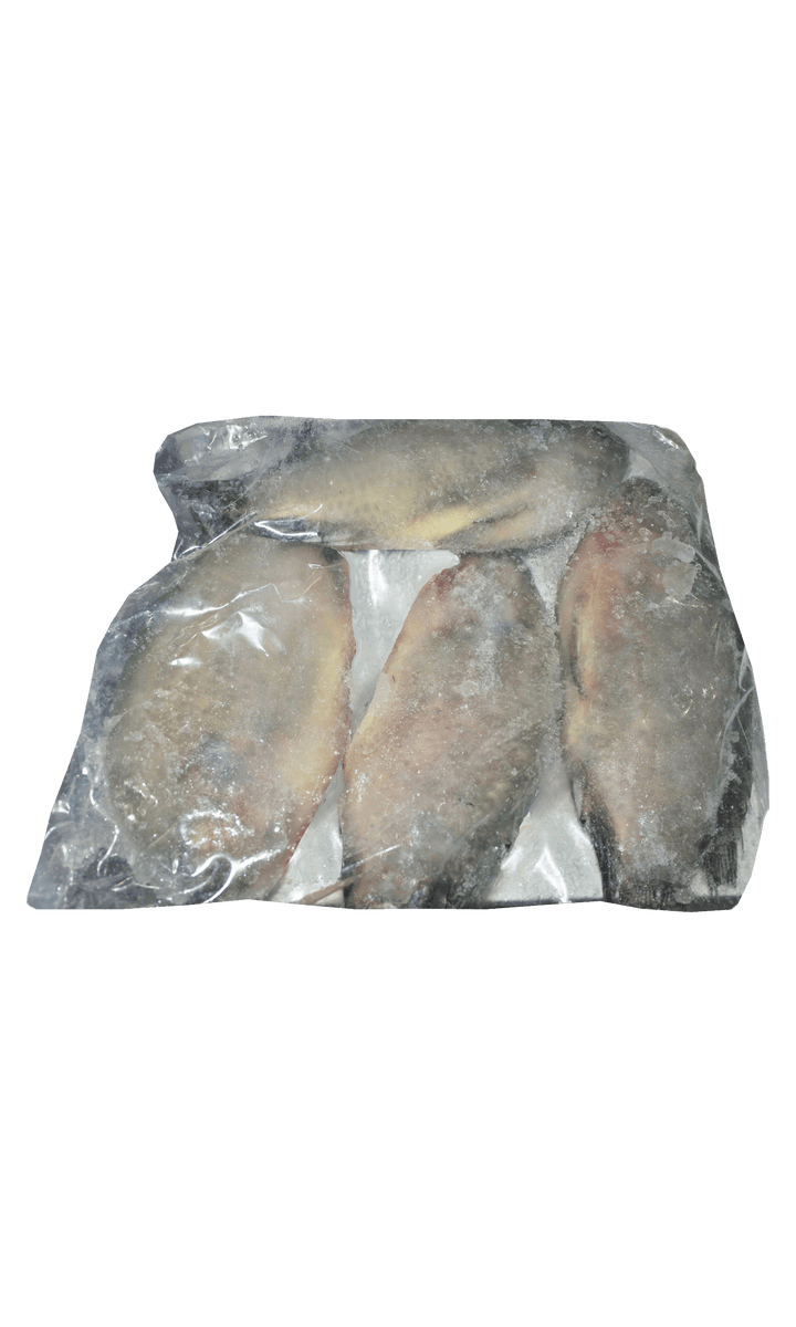 Frozen Tilapia G&amp;S 300/500 Noury