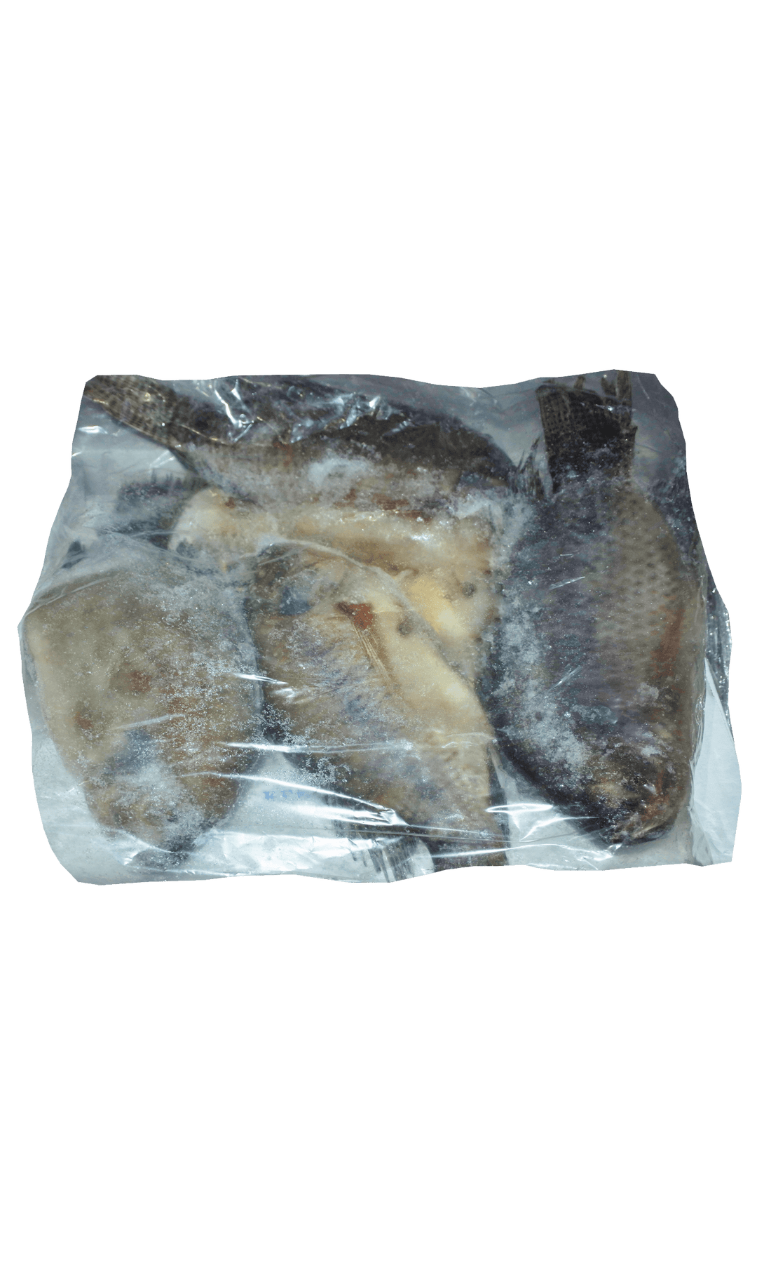 Frozen Tilapia G&amp;S 500/800 Jona