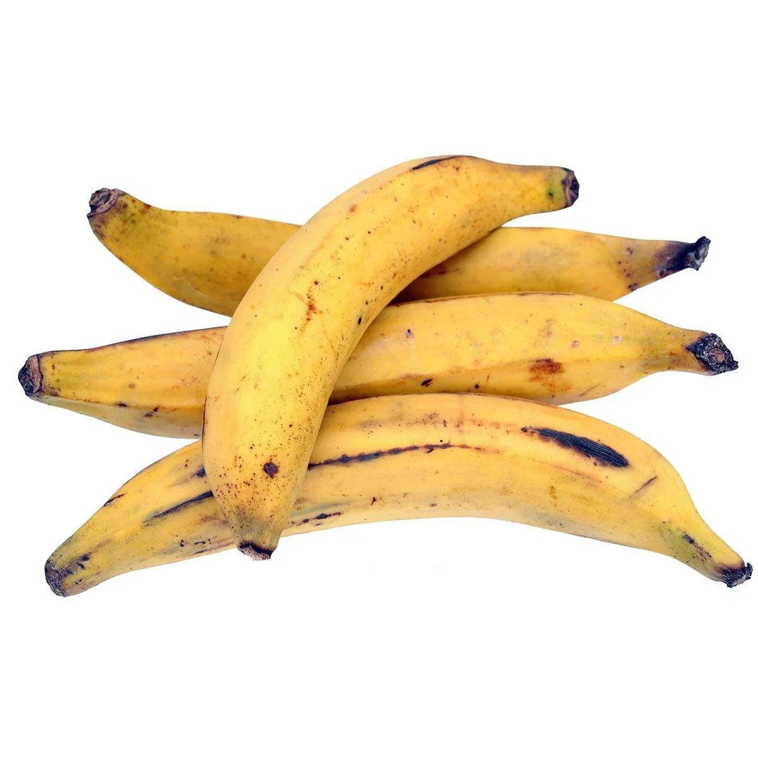 Fresh Plantains