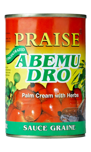 Praise Abemudro