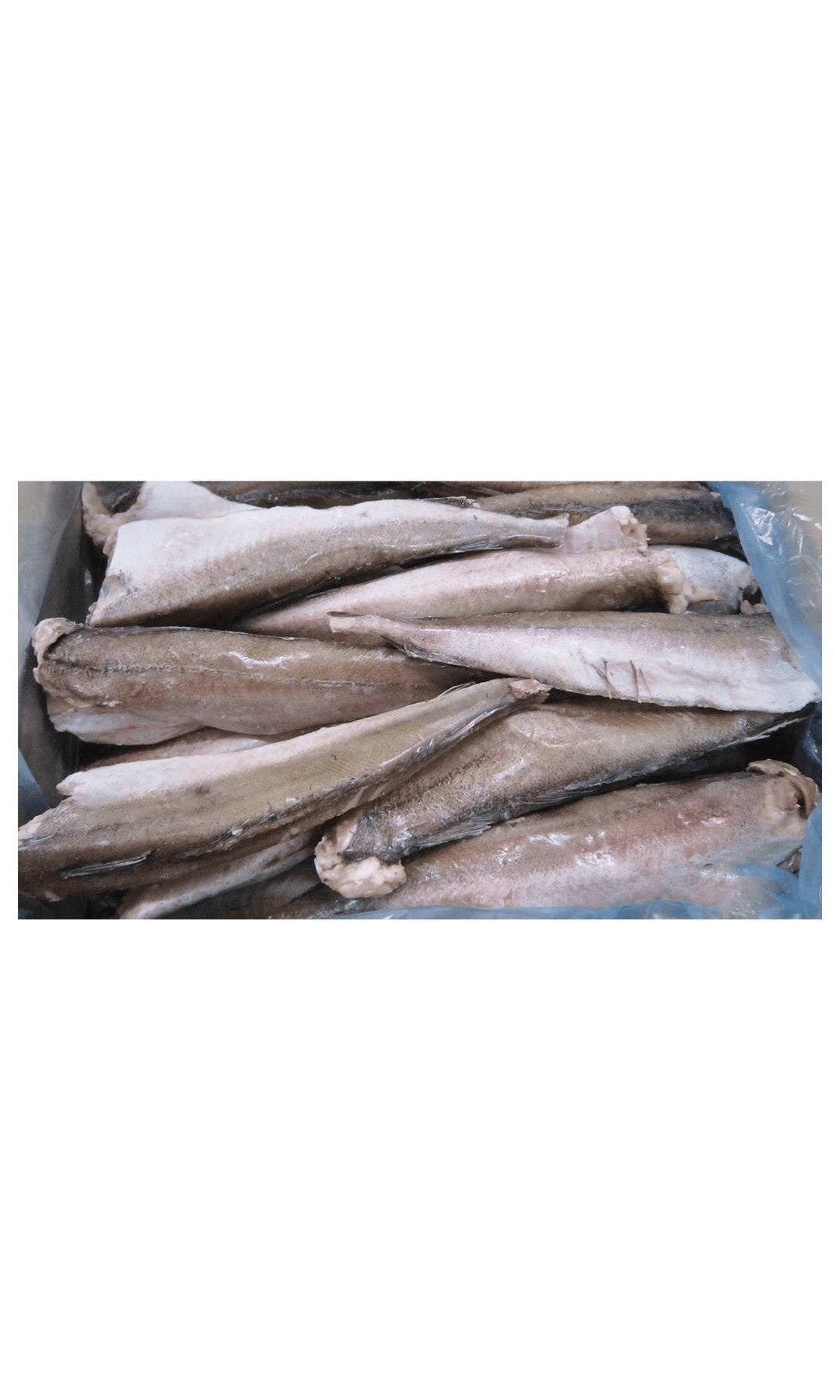 S Hake 1000/1500 Head/Tail Less — silver hake bodies, head and tail removed, frozen. Dried &amp; Frozen Fish at Origins Family Foods