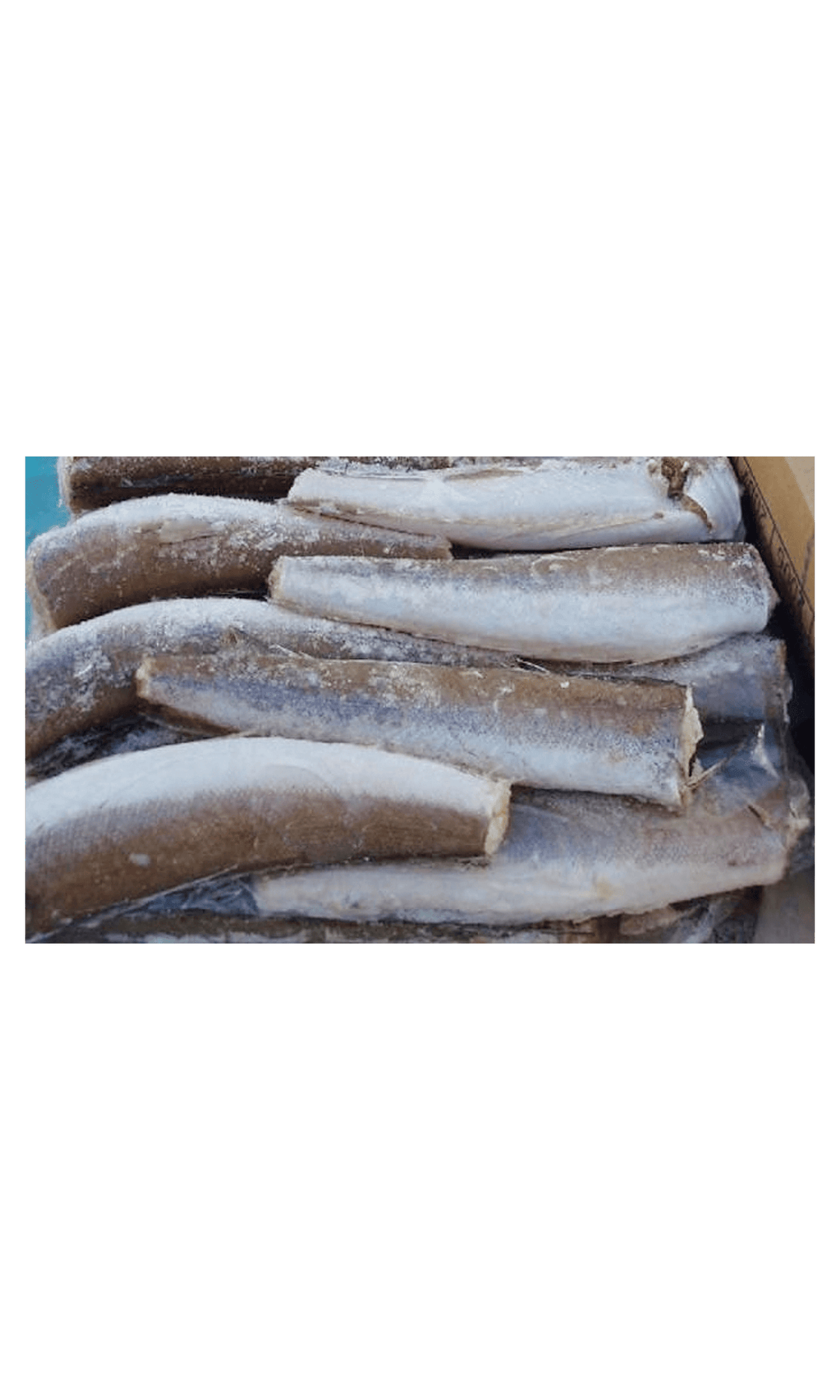 Silver Hake 800/1200