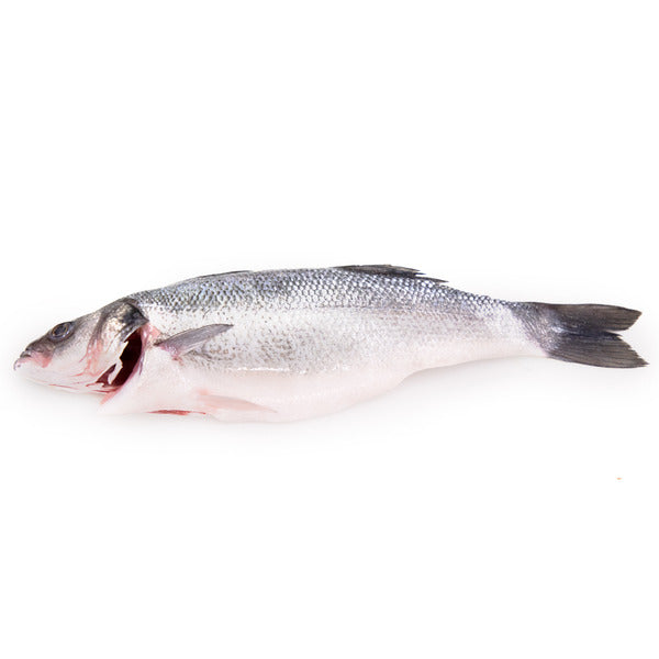 Frozen Whole Branzino (European Sea Bass)
