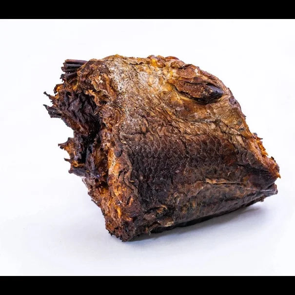 Frozen Kuta Fish
