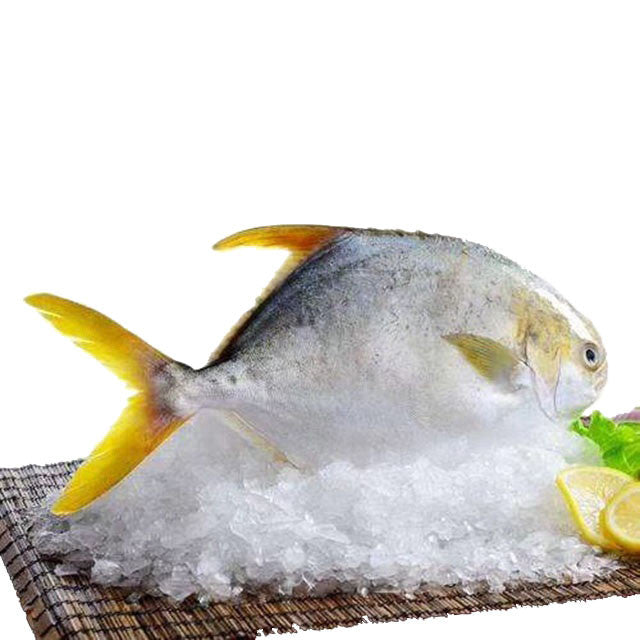 Frozen Whole Pompano